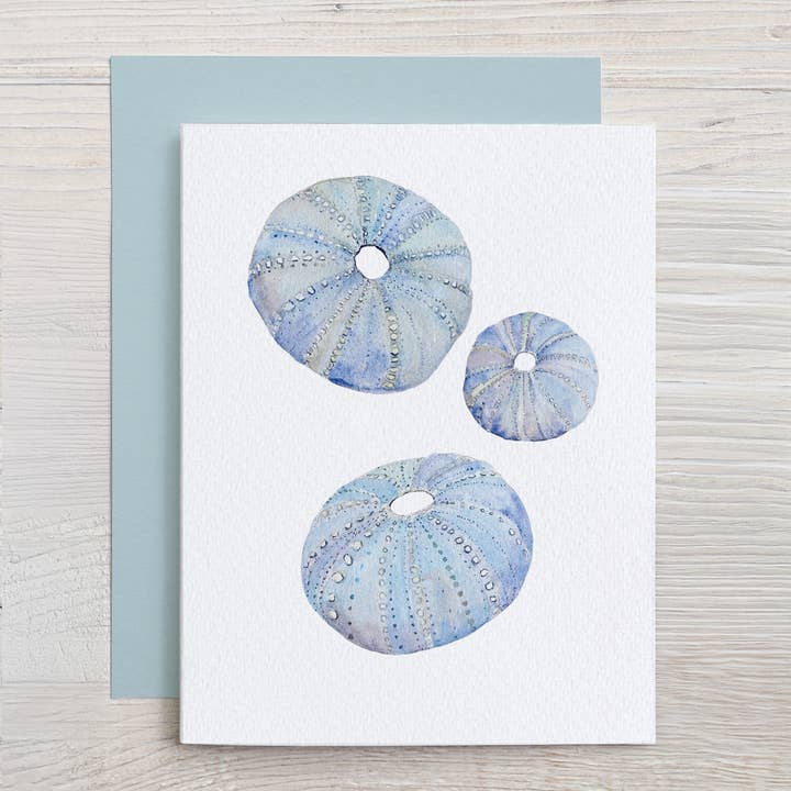 Waterline Studio - Wholesale Stationery/Notecard Set - Beachcomber Note Card Set (Sand Dollars, Sea Urchins, Starfish)1