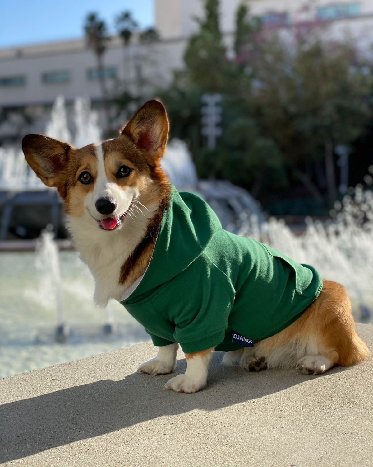 DJANGO - Wholesale Pet Hoodie - Dog - Dog Hoodie - Forest Green1