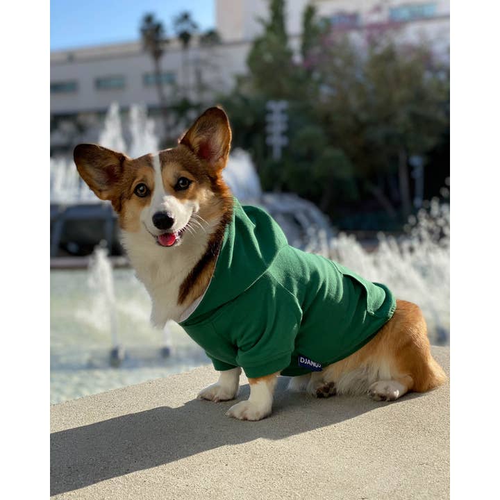 DJANGO - Wholesale Pet Hoodie - Dog - Dog Hoodie - Forest Green1
