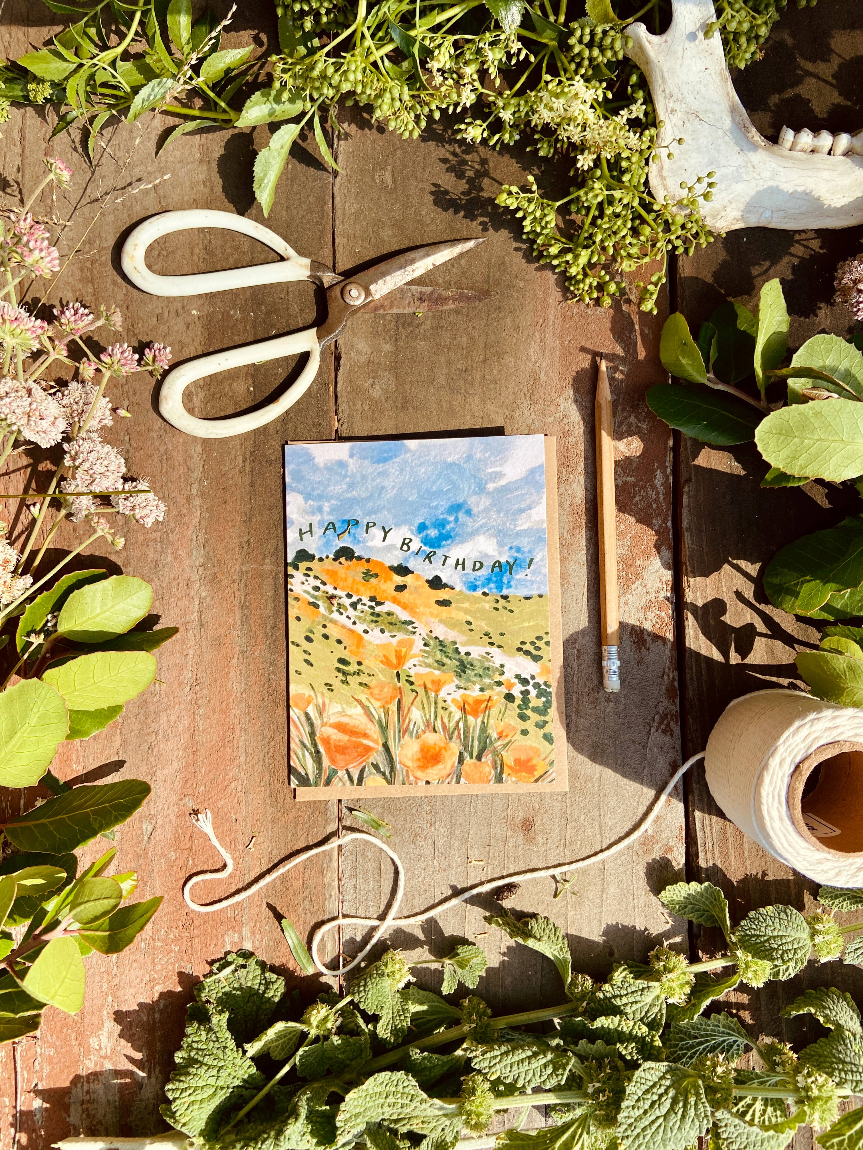 Little Salt Wagon – Großhandel Geburtstagskarten – California Golden Poppy Wildflower Happy Birthday Karte2