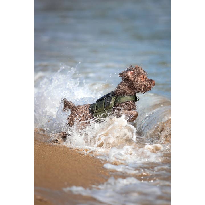 Noah and paw - Wholesale Pet Jacket - Dog - Human Standards Dog Lifejacket Design with 3x Foam Support for Max Floating - Green