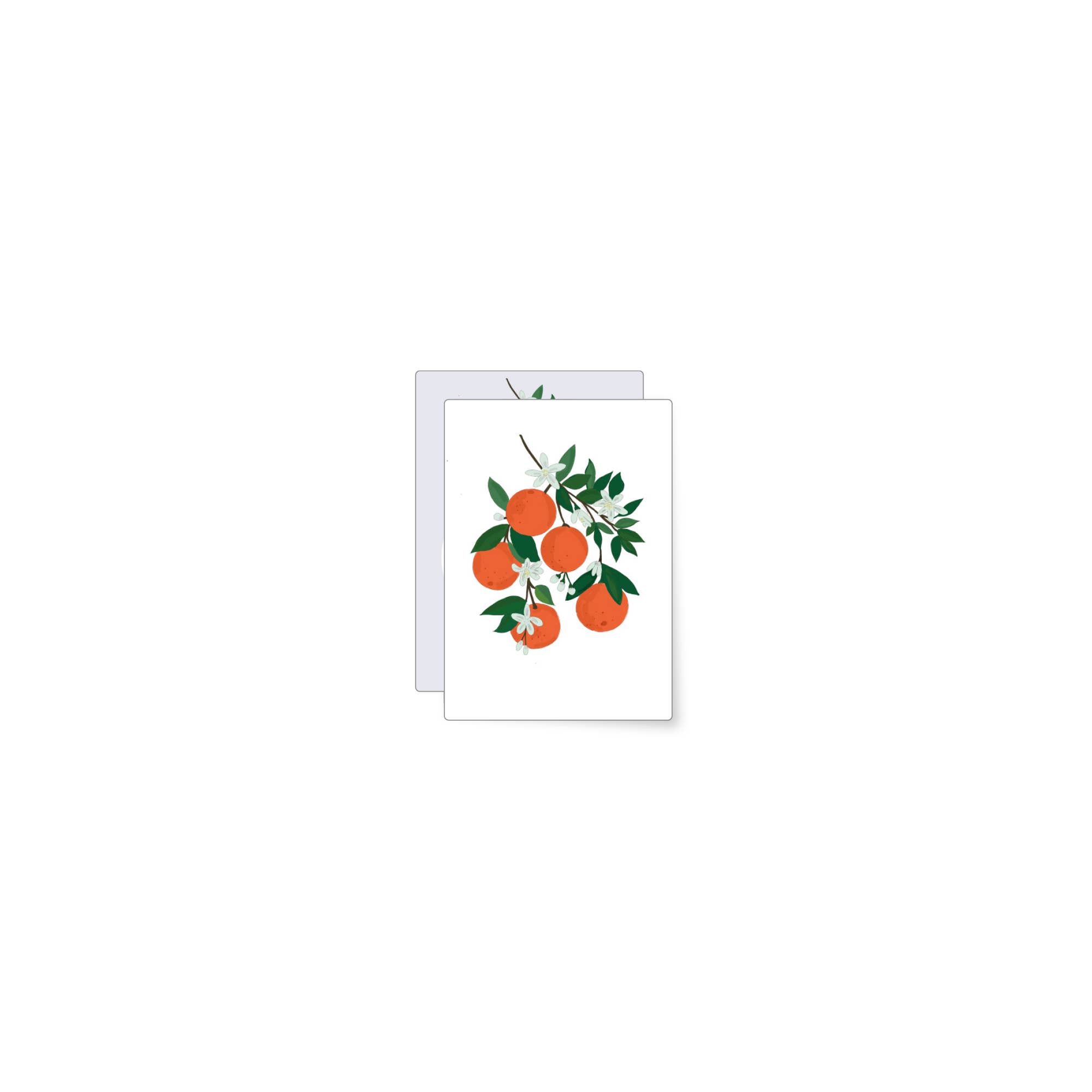 MIAO Papeterie - Wholesale Everyday Greeting Card - Oranges | mini card0