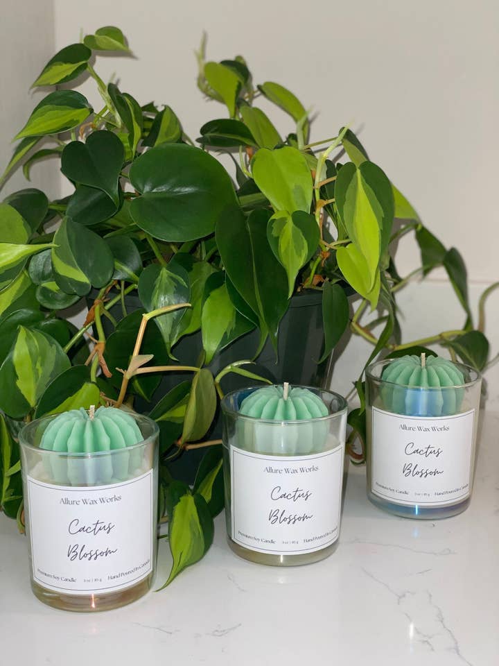 Candela al Fiore di Cactus per la vendita all'ingrosso da parte di Allure Wax Works