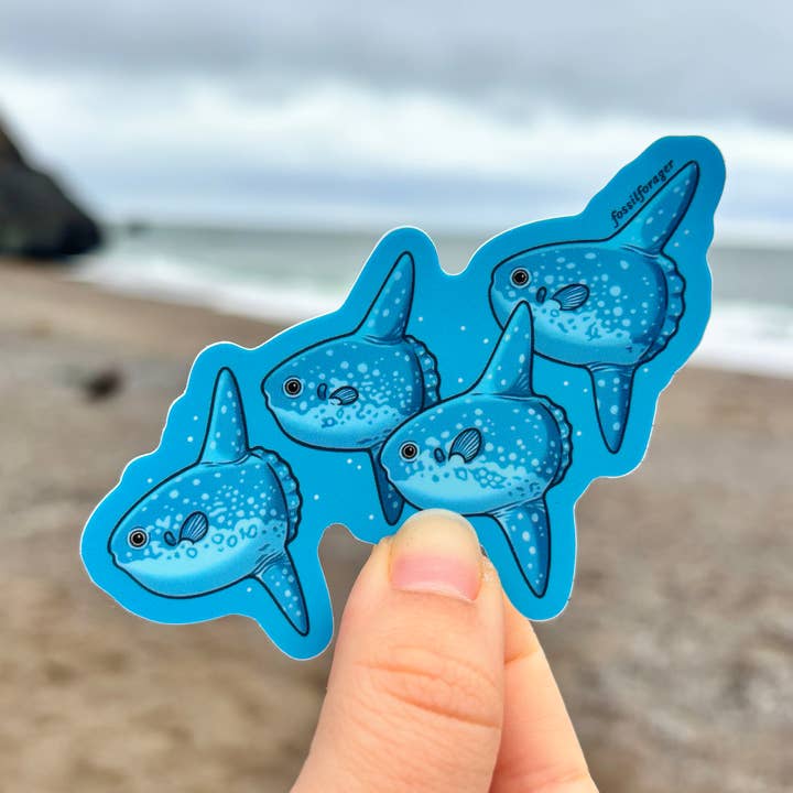 Ocean Sunfish Sticker for wholesale by Fossil Forager