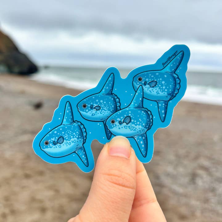 Ocean Sunfish Sticker for wholesale by Fossil Forager