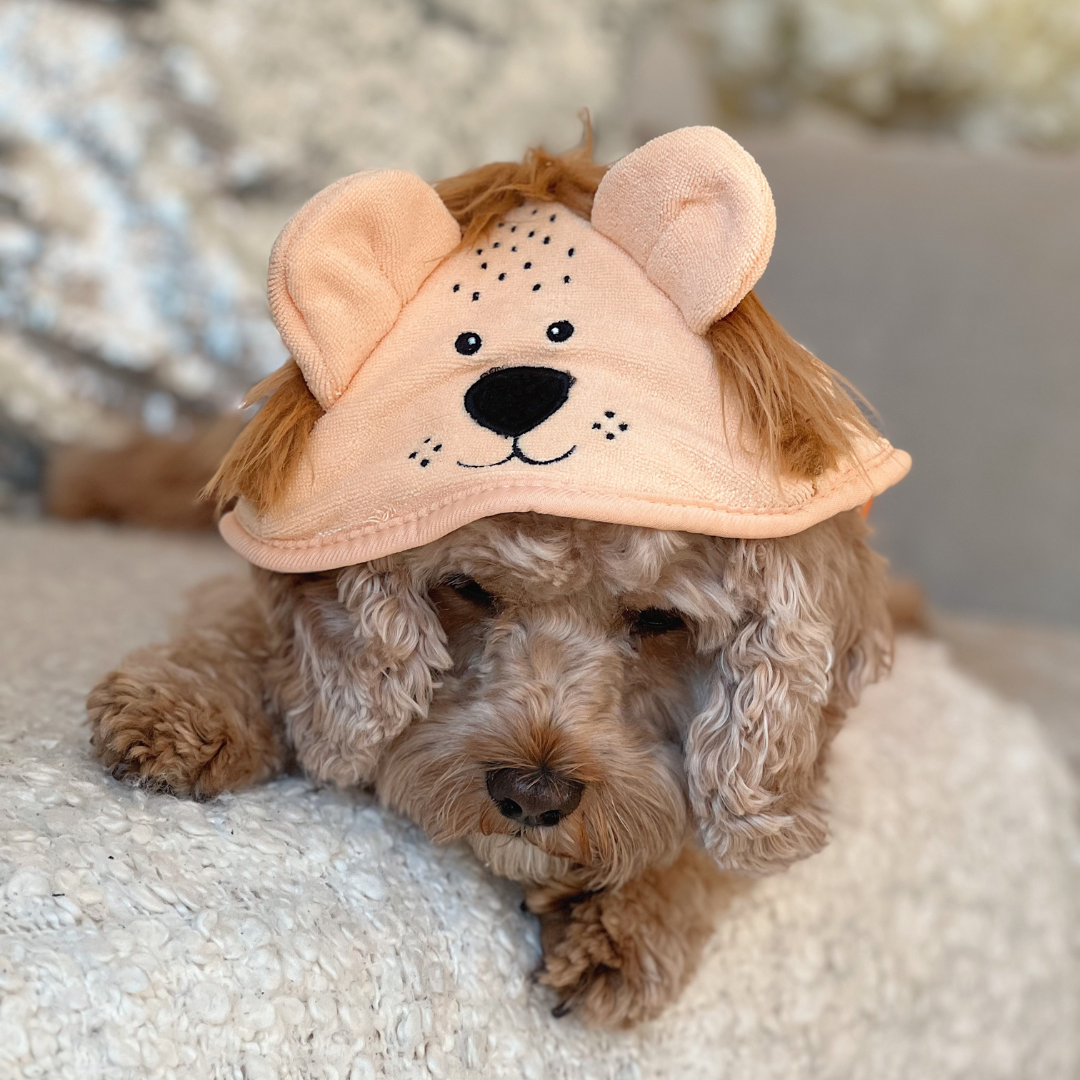 Cocopup London - Venta al por mayor Sudadera - Perros - Bata para secar perros Roary el León15