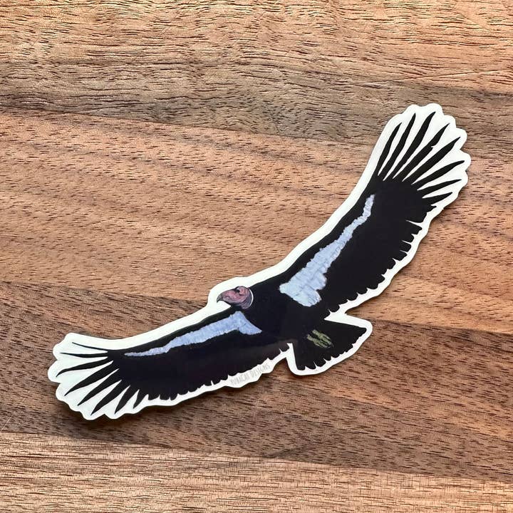 California Condor Sticker for wholesale by YubaCat Designs