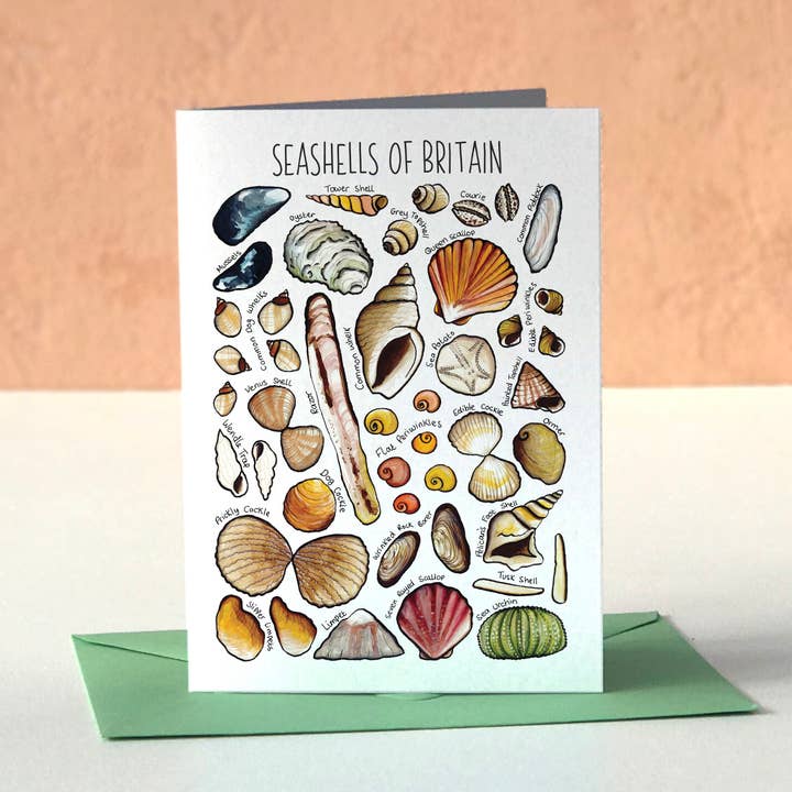 Seashells of Britain Art Blank Greeting Card for wholesale by Alexia Claire Ltd