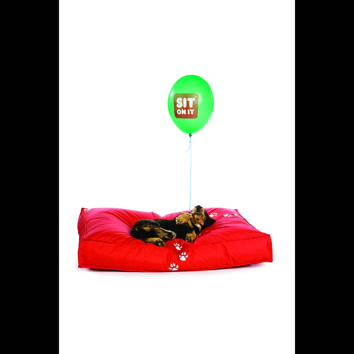 sitonit.be - Wholesale Pet Bed - Dog - Doggie Style12
