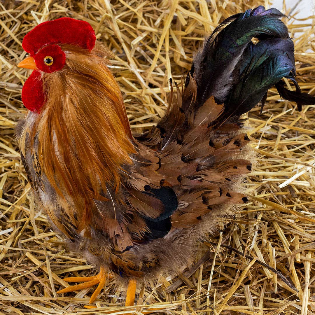Zucker Feather Products - Wholesale Feathers - Rooster Farmhouse Decor4