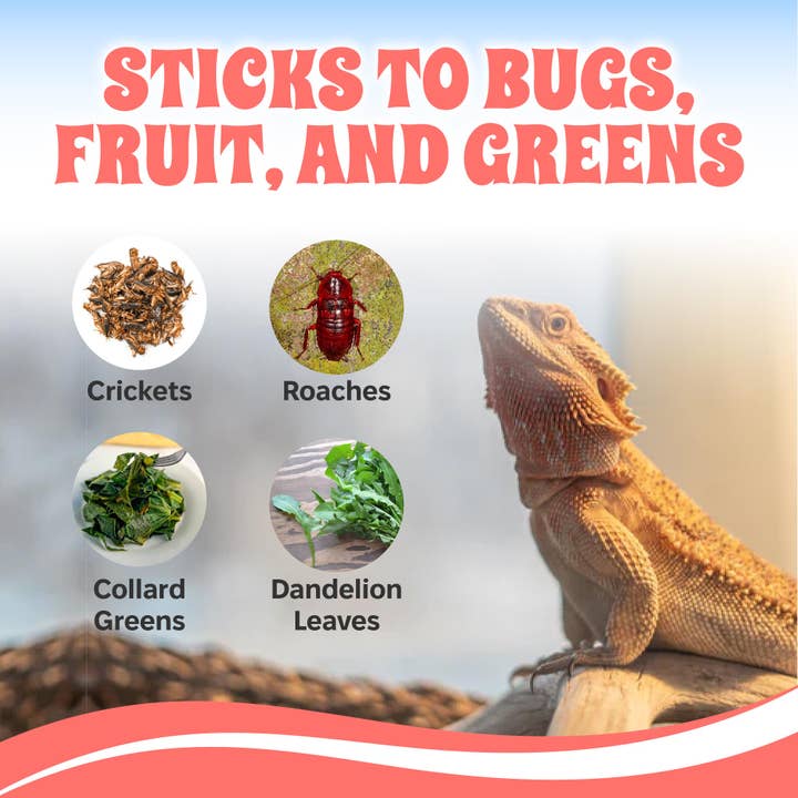 Snout and Shell - Wholesale Pet Supplement - Not Cat/Dog - Bee Pollen Powder for Reptiles - 2.5 oz3