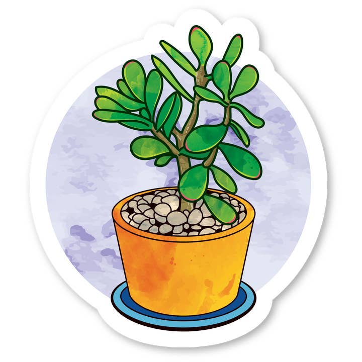Coaster - Watercolor Jade Plant for wholesale by Morris Magnets