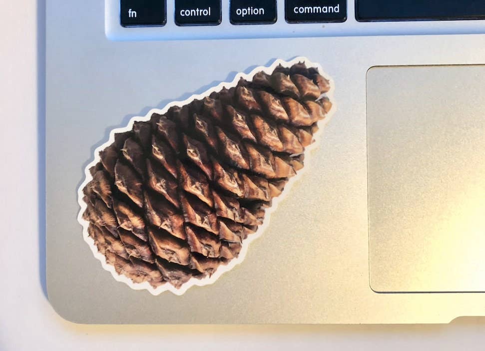 Stick Outside - Wholesale Sticker - Oregon Ponderosa Pine Pinecone Sticker3