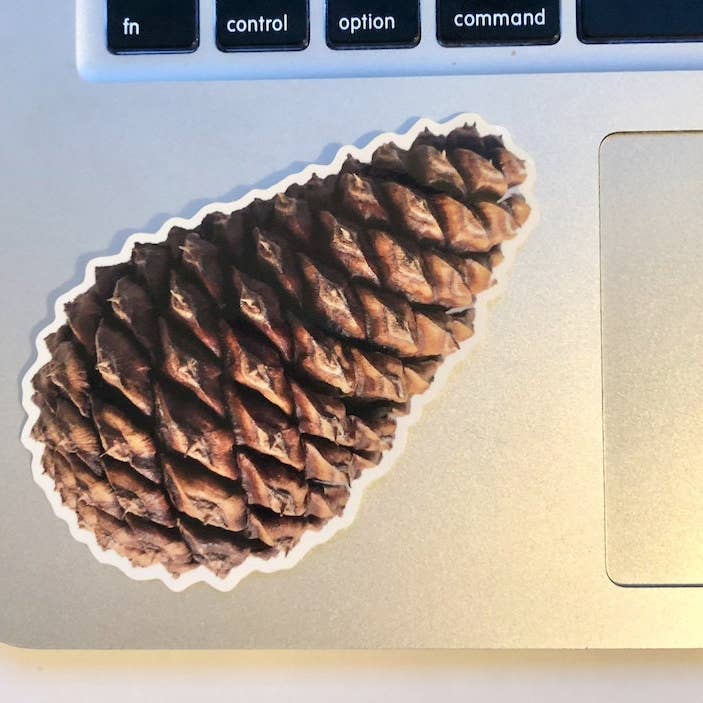 Stick Outside - Wholesale Sticker - Oregon Ponderosa Pine Pinecone Sticker3