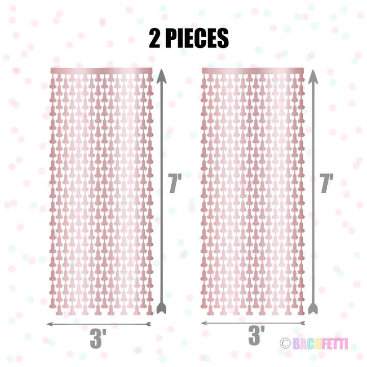 BachFetti - Wholesale Decal - Party Decorations - Bachelorette Party Streamer Curtain β 7' x 6' Foil Backdrop8