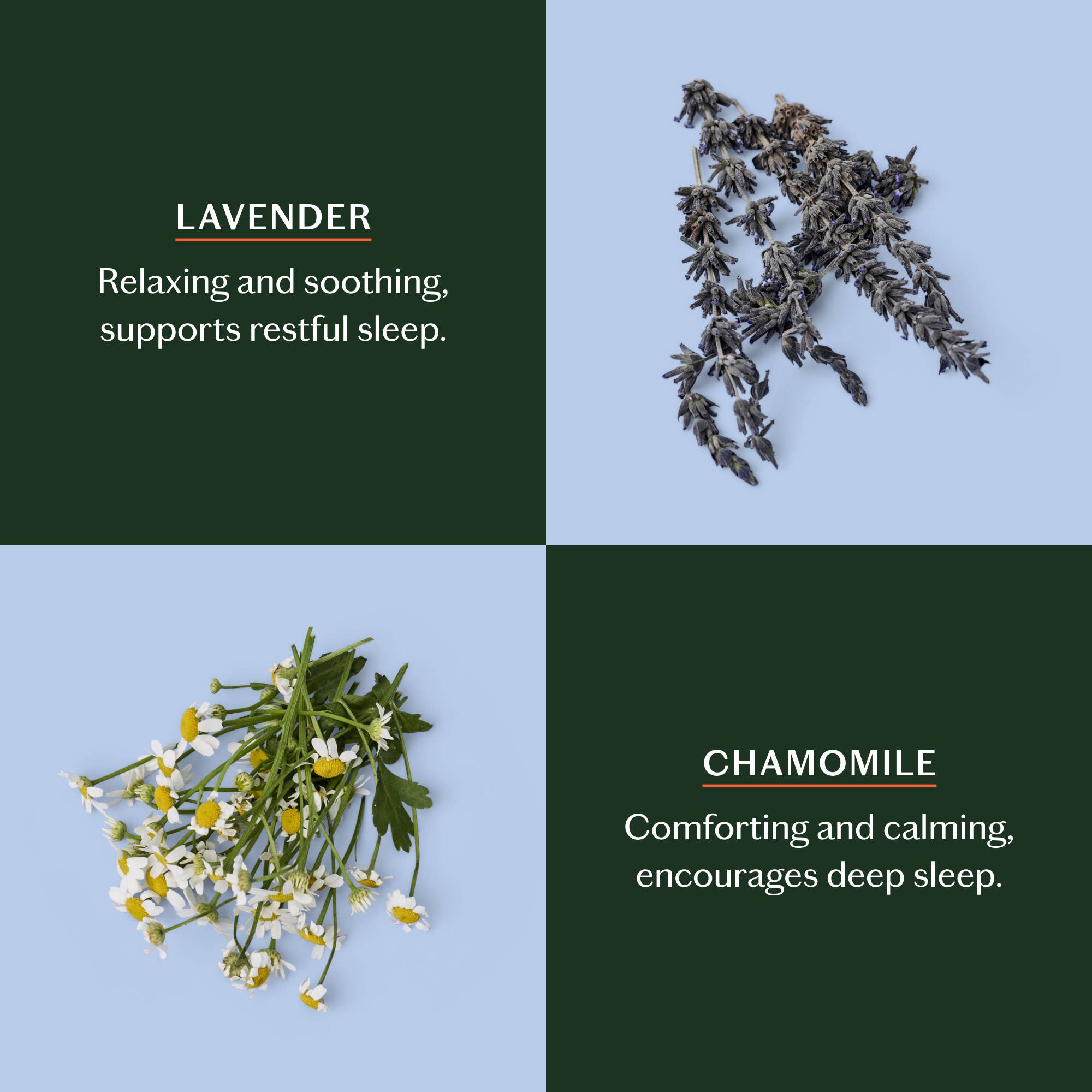 Kate McLeod - Wholesale Solid Lotion - Sleep Stone | Deep Moisturizing Lotion Bar5