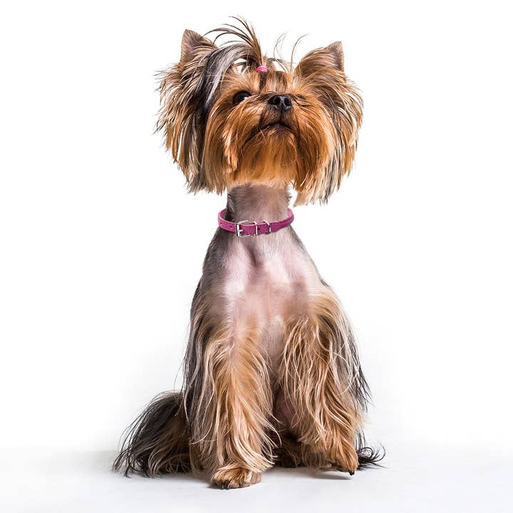 Dogline - Wholesale Pet Collar - Dog - Soft Leather Round Collar