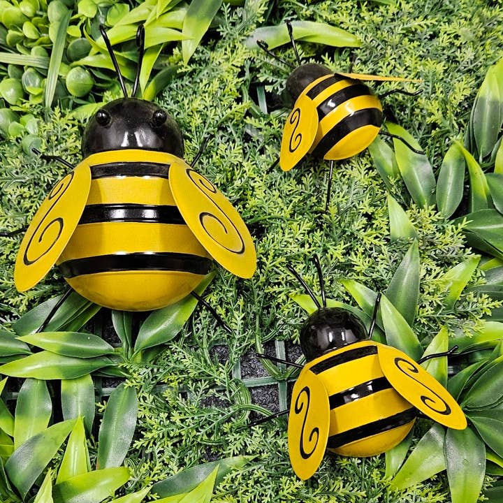 Ape di latta - 3 dimensioni per la vendita all'ingrosso da parte di Green Pastures Wholesale