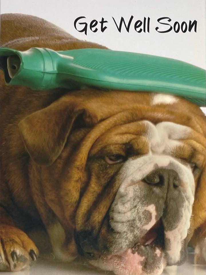 Gute Besserung, Bulldogge, das fühlt sich schlecht an für den Großhandel von 90210 Exotics