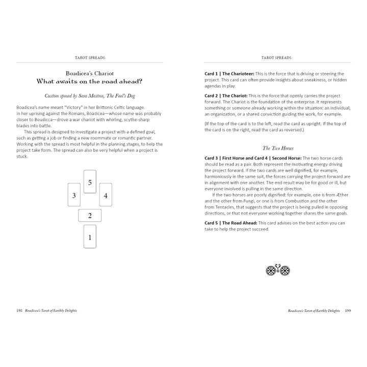 Schiffer Publishing - Wholesale Tarot Cards - Boadicea's Tarot of Earthly Delights9