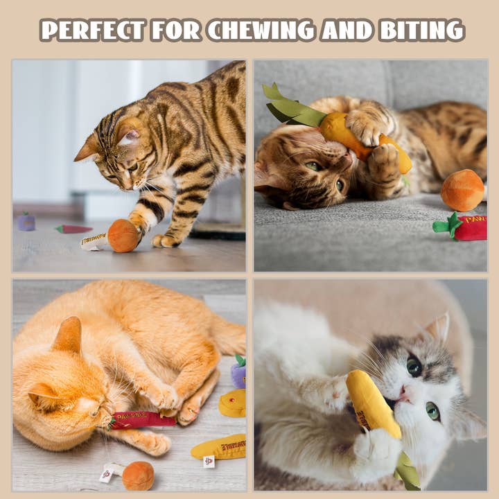 Nocciola - Wholesale Pet Toy - Cat - 5 Pack Catnip Toys for Indoor Cats3