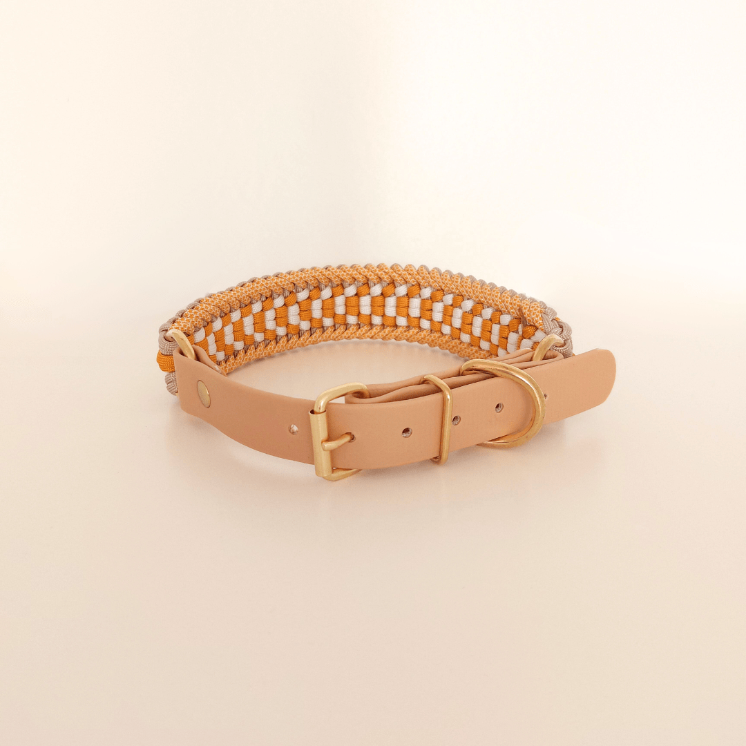 Truffe & Flair - Wholesale Pet Collar - Dog - Braided Dog Collar - Biothane/Paracord - Yellow4
