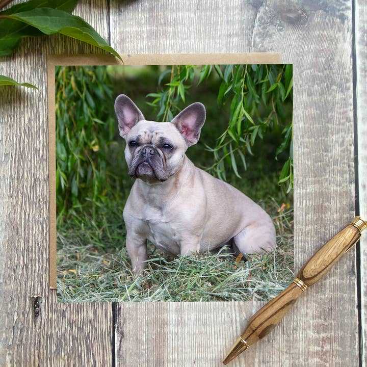 Carte de vœux French Bull Dog - jolie carte pour petit chien pour la vente par Alex Sharp