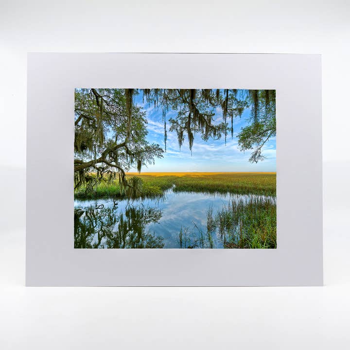 Œuvre d'art - Marsh Mellow pour la vente par Mike Ring Photography