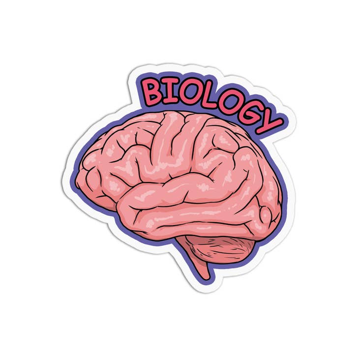 Science Biology Brain Vinyl Textured Sticker for wholesale by Girls Printing House