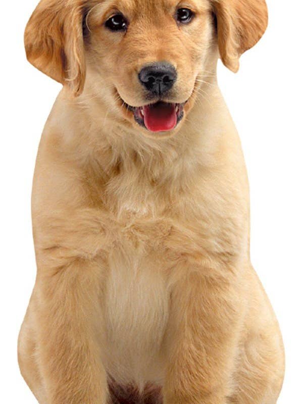 Golden Retriever Puppy Blank Diecut Card for wholesale by Paper House Productions