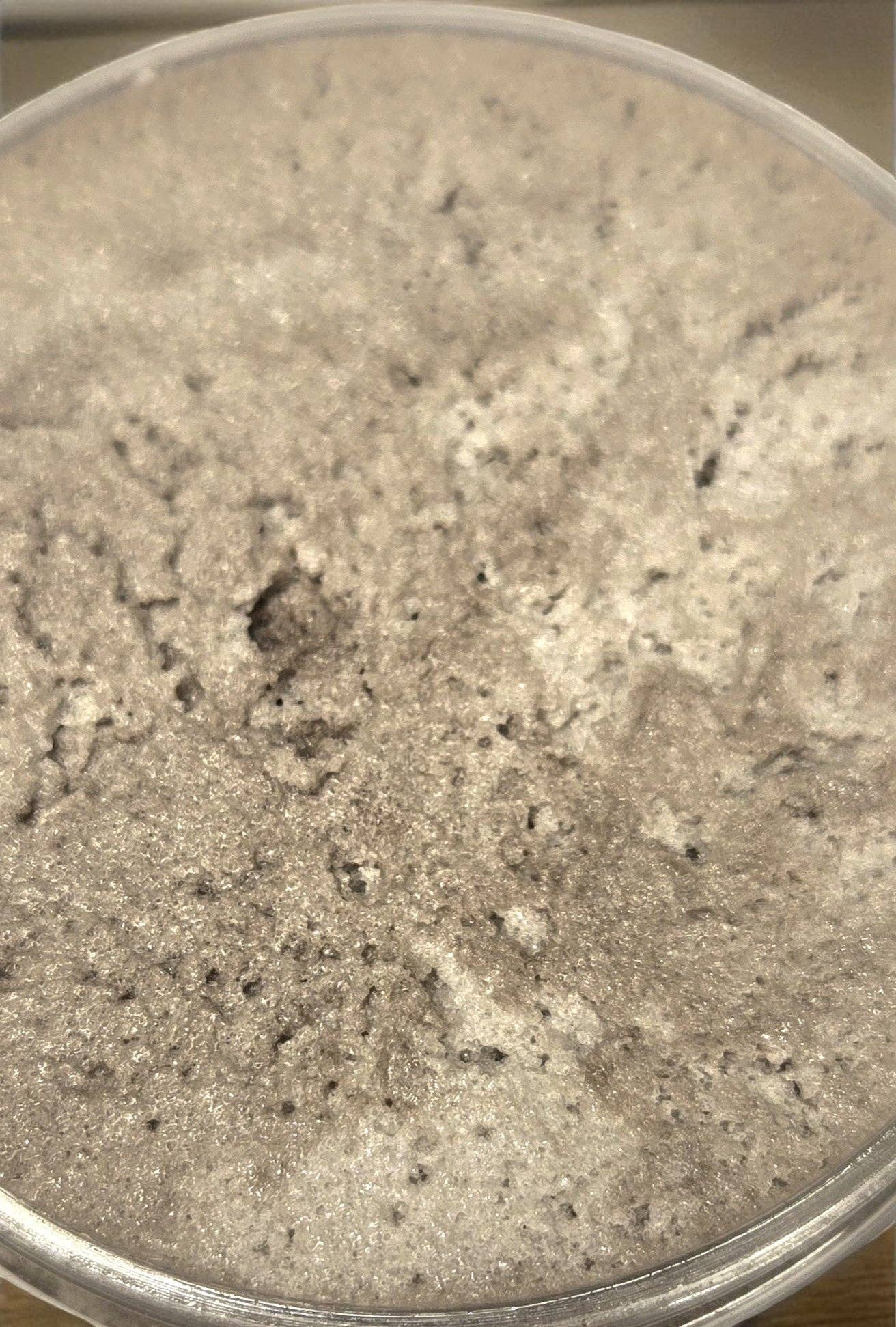 Bear Ridge Essentials - Wholesale Body Scrub/Exfoliant - Whipped Sugar Scrubs (Online Only- Buy 3 for $30)(Discounts on Discontinued Scents)13