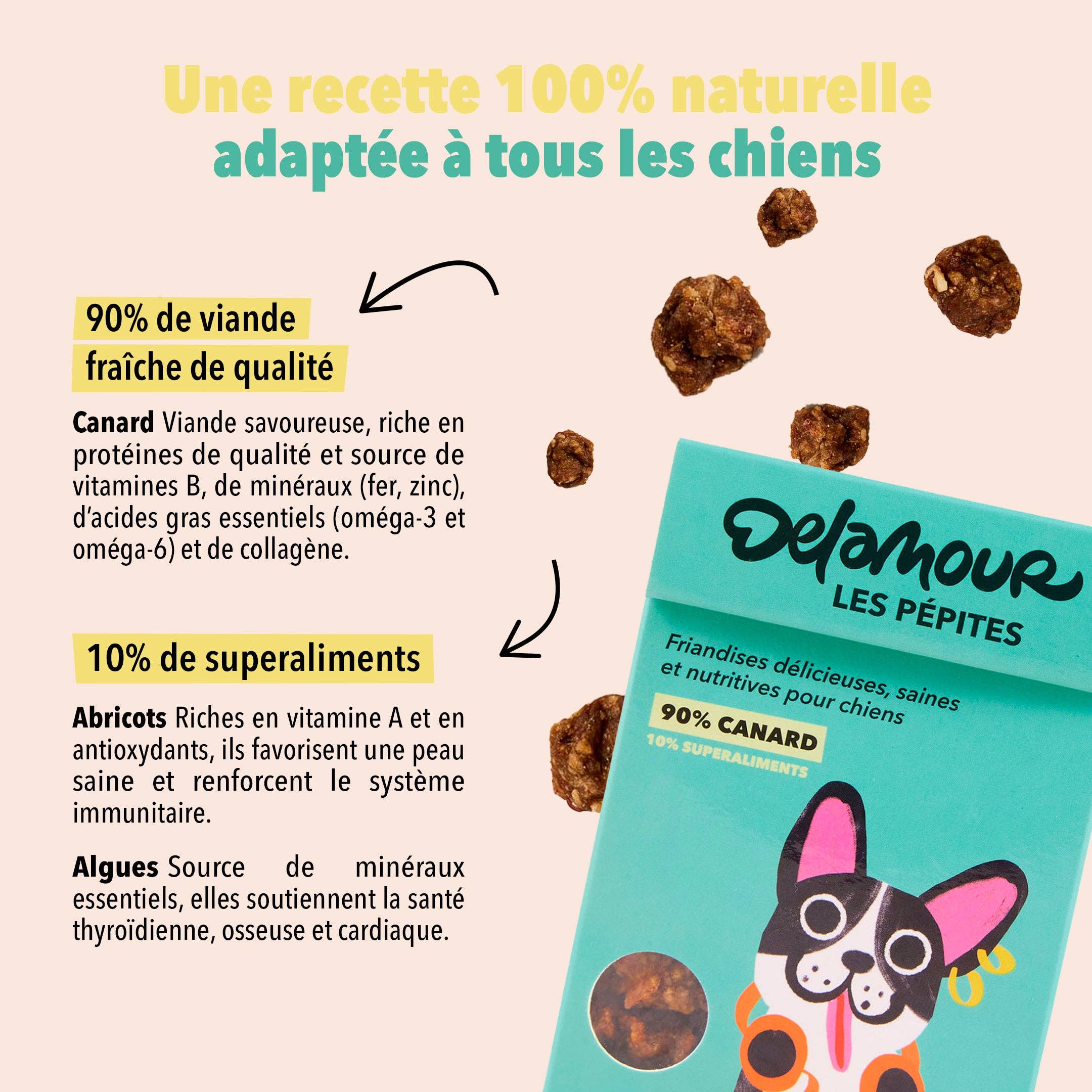 Delamour - Wholesale Pet Treats - Dog - Les Pépites - Air-dried duck snacks (75g)2