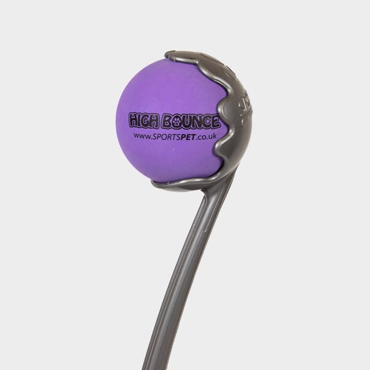 4cats Heimtierbedarf GmbH – Engroshandel Apporterbold - Hund – SPORTSPET High Bounce Sports Kaster1