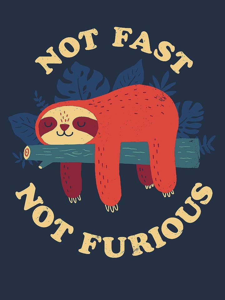 "Not Fast, Not Furious" - Canvas Print Wall Decor for wholesale by Image Conscious, LLC