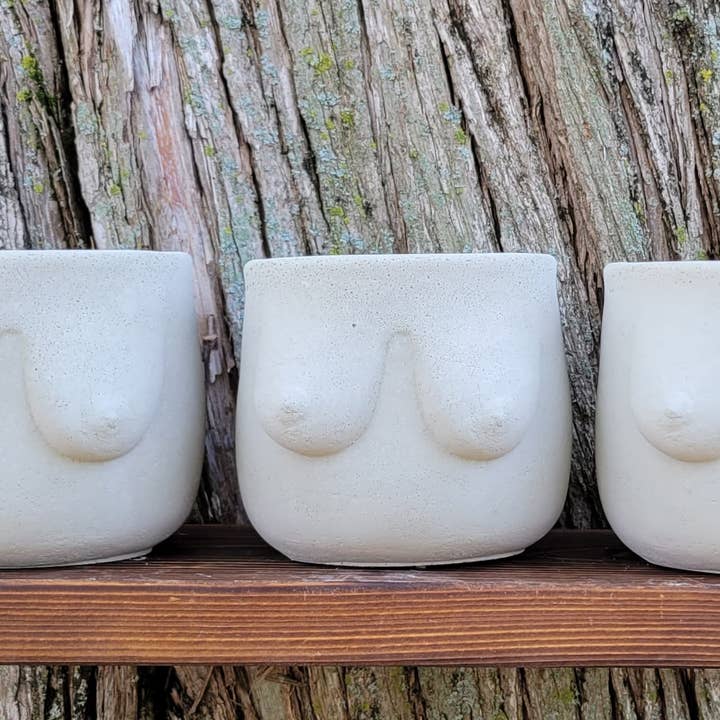 Fern and Folk - Wholesale Plant Pot - Boob Pot | Planter | Boobie Planter | Breast Planter