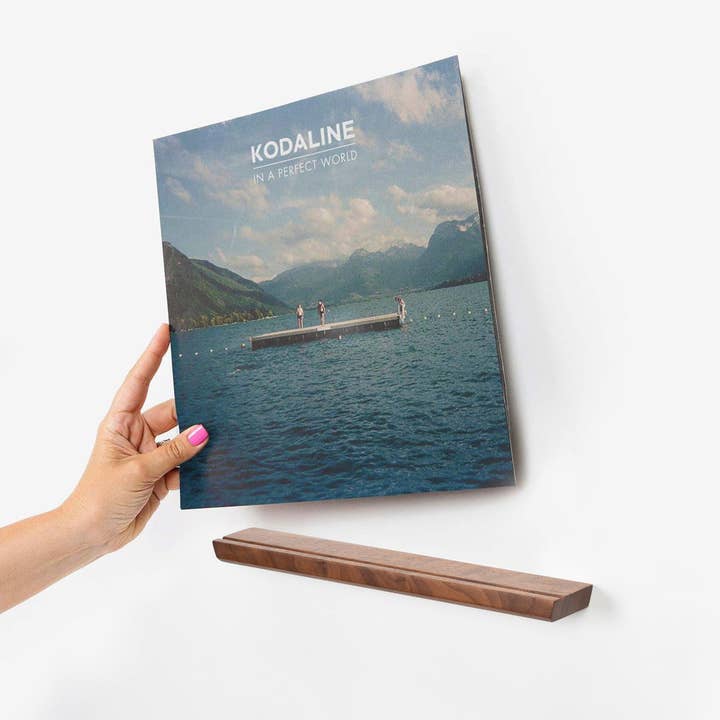 Well Made - Wholesale Wall Mounted Shelf - Vinyl Record Display Shelf - Single Records Only1