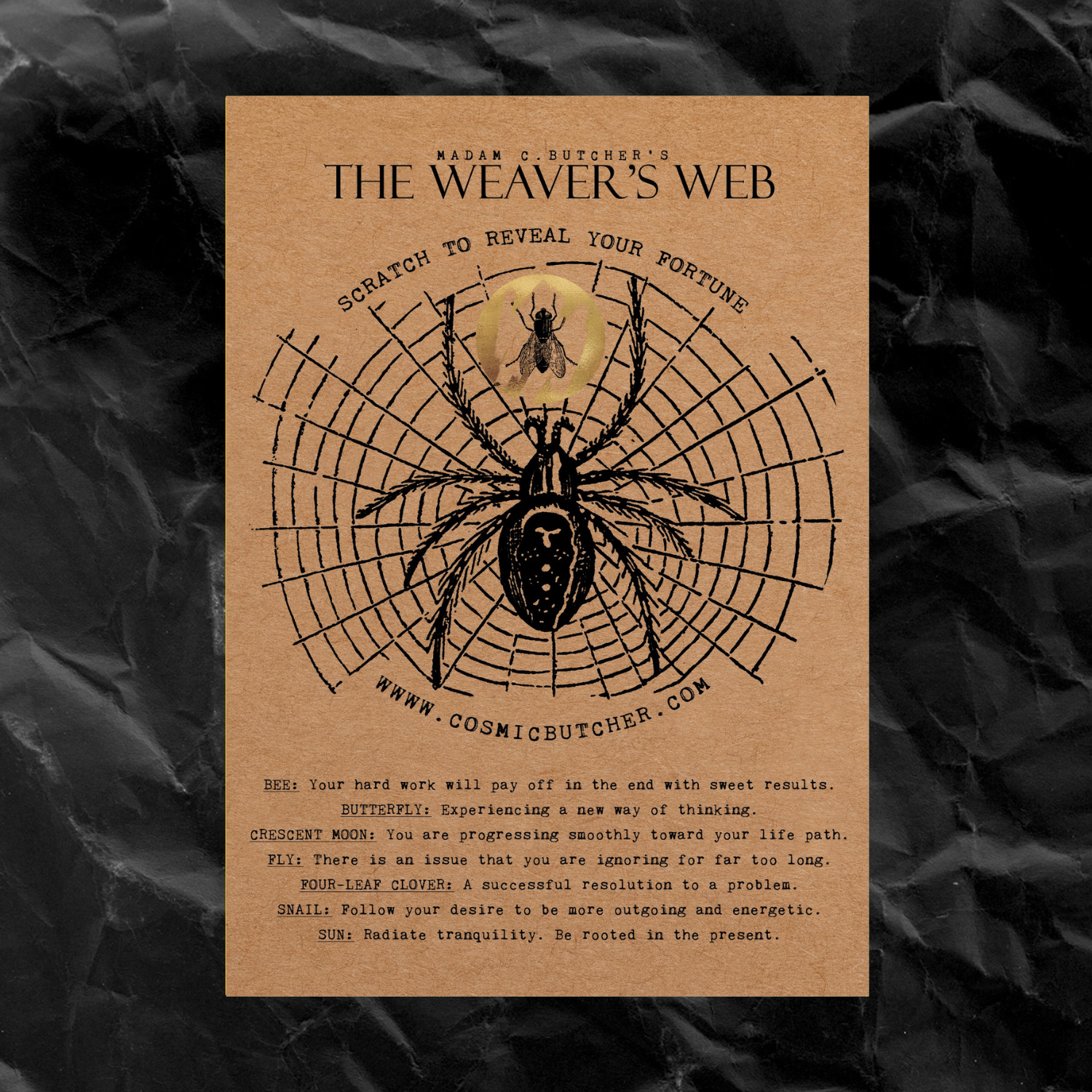Cosmic Butcher - Wholesale Everyday Greeting Card - “WEAVER'S WEB” Scratch Off Fortune Affirmation Spider Card3