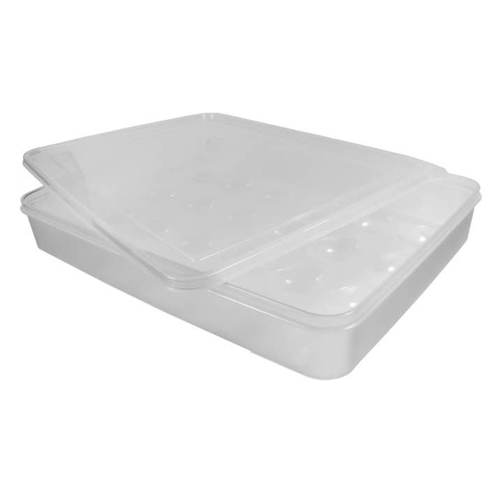 KITCHEN BASICS Egg Tray 24 Cavities w/ Clear Lid for wholesale by Port-Style Enterprises Inc.