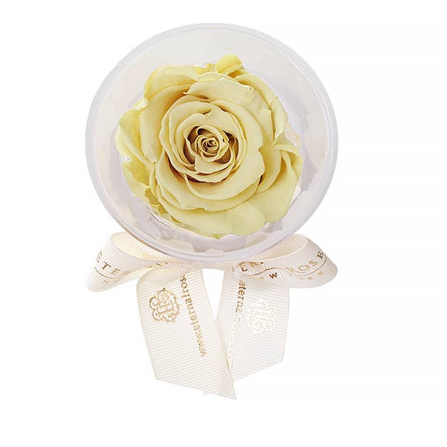 Eternal Roses® - Wholesale Party Favor - Eternal Rose Party Favors22