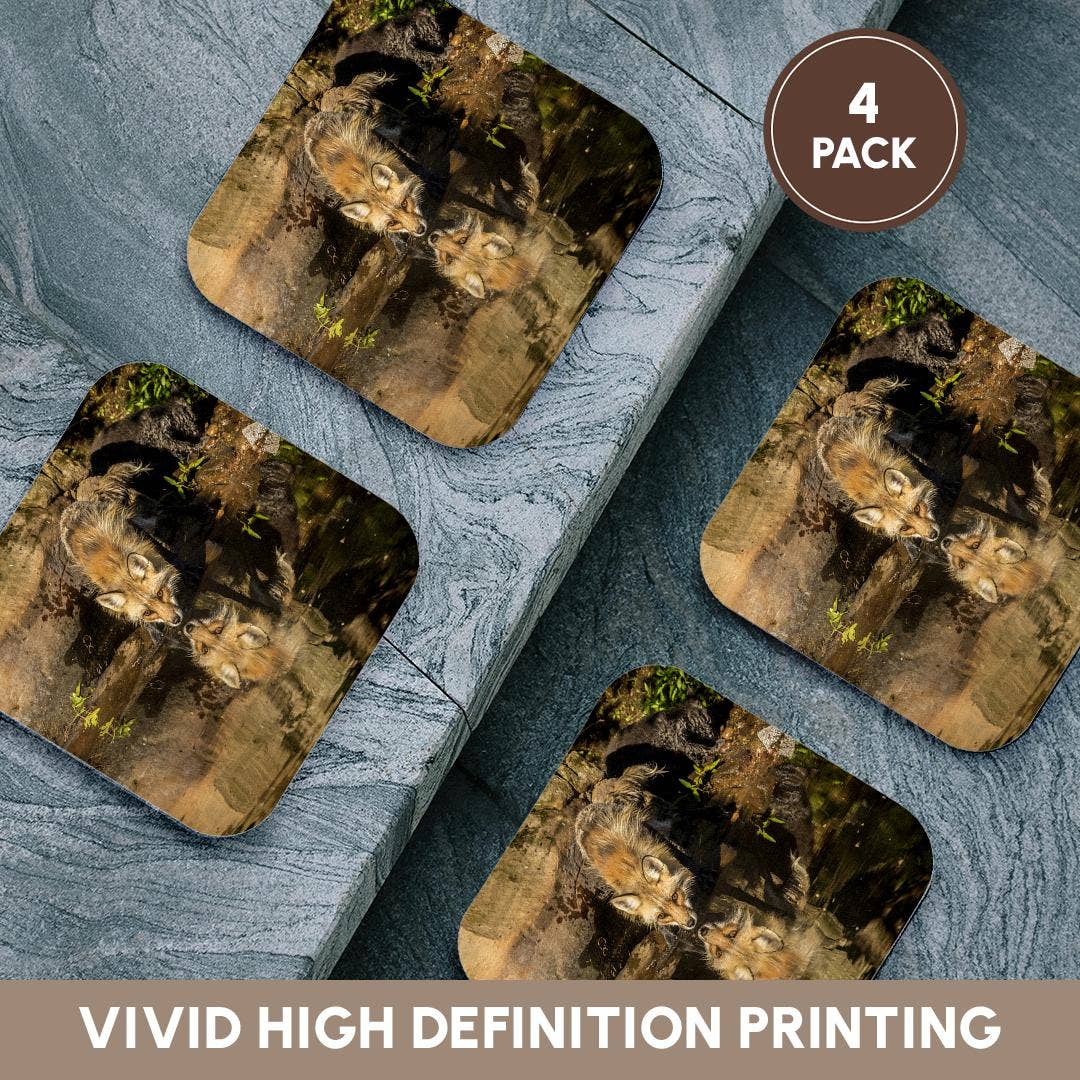 3dRose - Wholesale Coasters - 3dRose, Pine County. Captive red fox drinking. , Coaster12