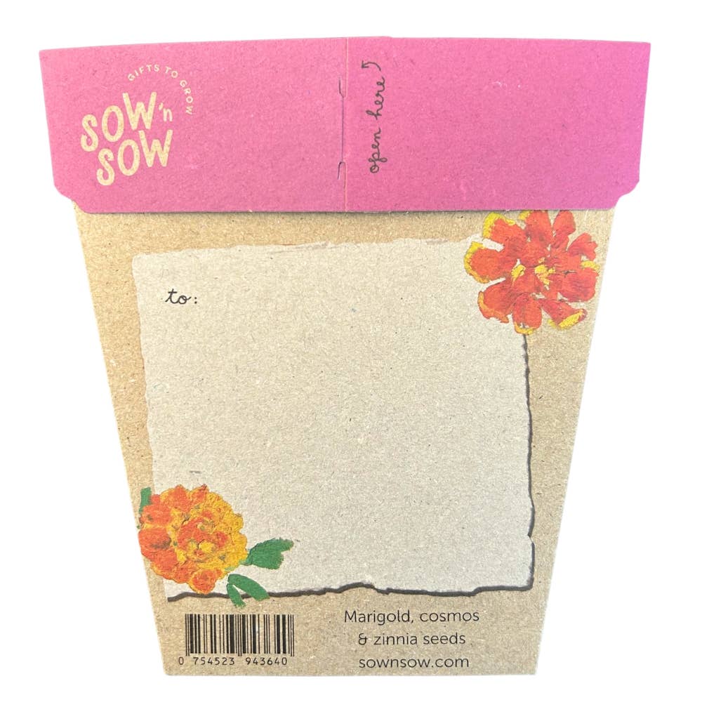 Sow 'n Sow - Wholesale Plant Seeds - Thanks a Bunch Gift of Seeds1
