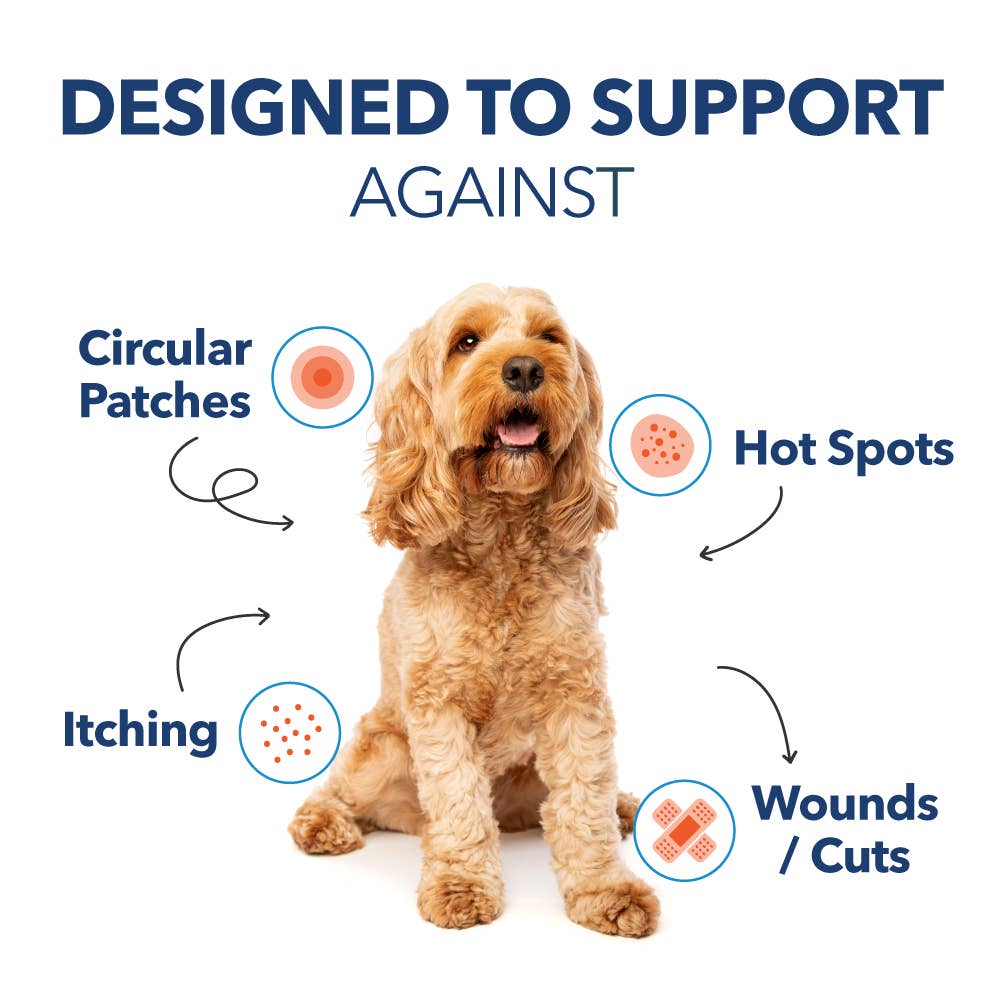 Petpal – wholesale Pet cleaning supplies – Pet&PalMD Chlorhexidine Pet Pads - 30Pads4