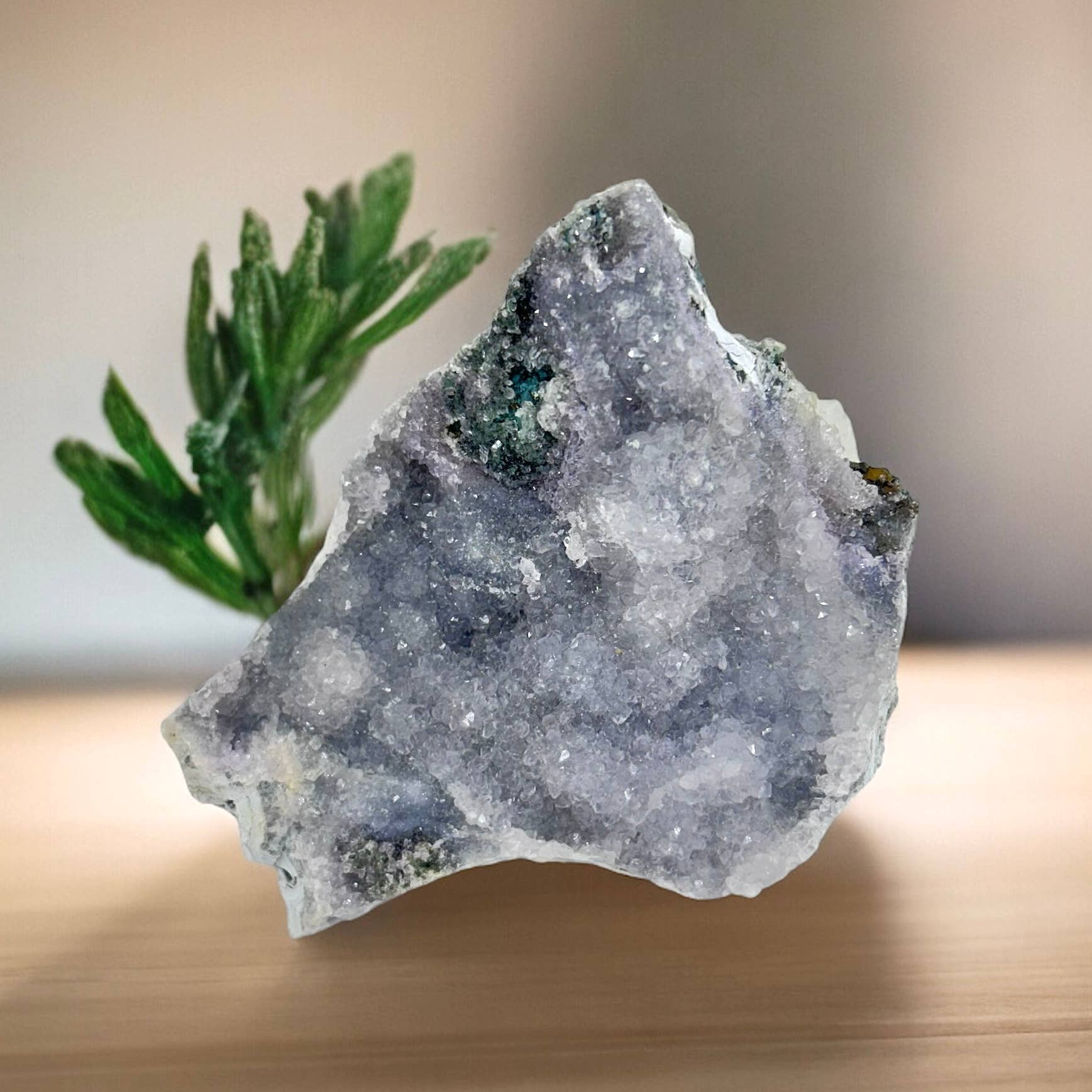 Quasar Gems USA - Wholesale Spiritual Stone/Crystal - Amethyst Flower Formation Natural Plates1