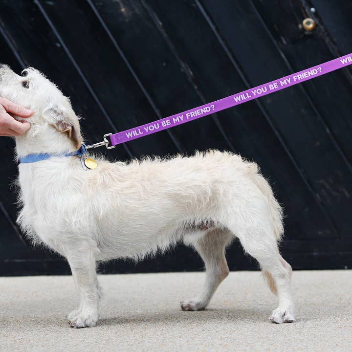 Pretty Alright Goods - Wholesale Pet Leash - Dog - Be My Friend - Dog Leash2