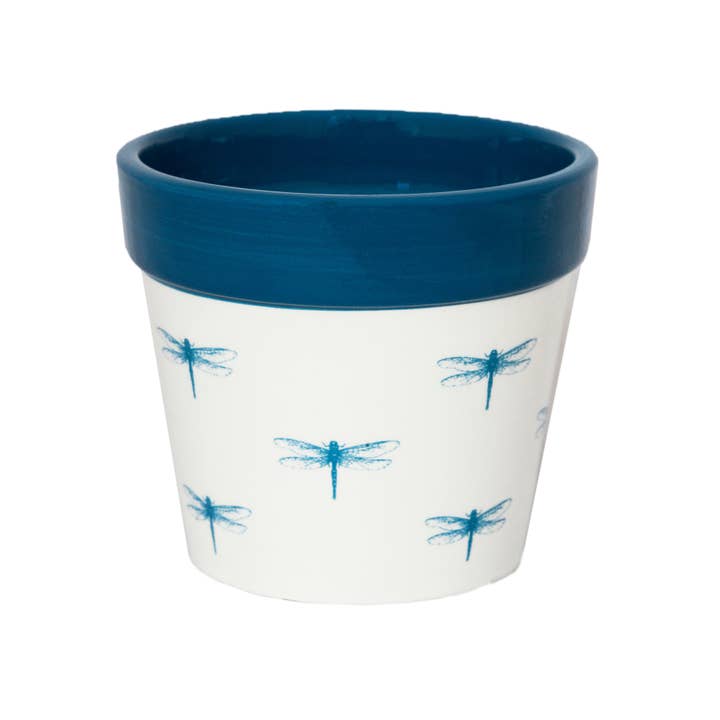 Ivyline - Vendita all'ingrosso Vasi per piante - Vaso per cactus Ivyline Dragonfly, altezza 7 cm x profondità 7 cm1