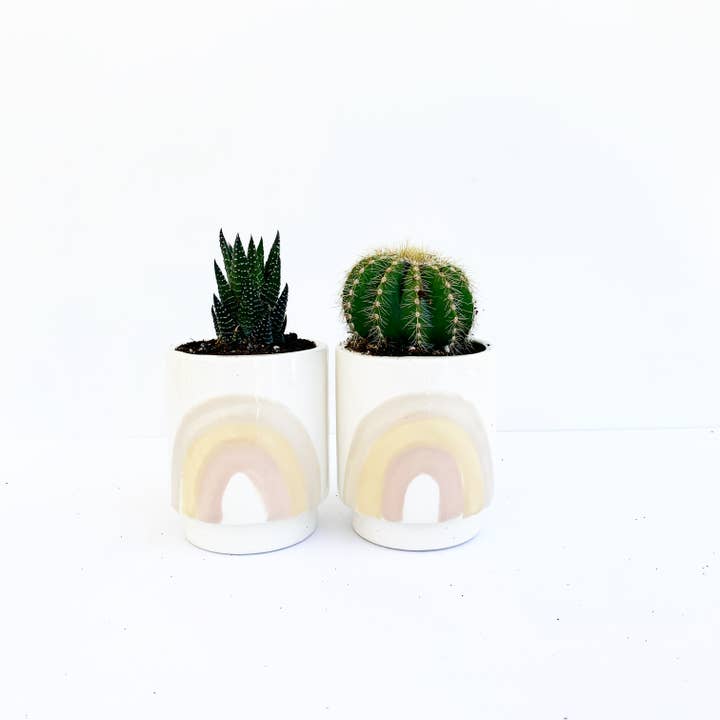 Luna Reece Ceramics - Wholesale Plant Pot - Rainbow Pots3