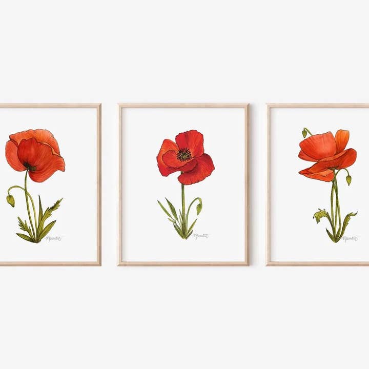 February Rose LLC – wholesale Art print – Watercolor Poppy Painting, Watercolor Poppy Art, Poppy Print, August Birth Flower Print, Baby Girl Nursery Art, Baby Shower Gift Poppy Decor4