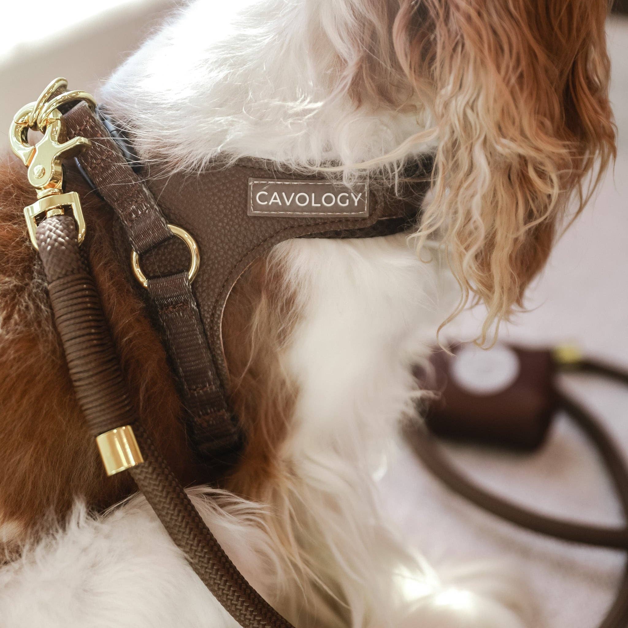 Cavology - Wholesale Pet Leash - Dog - BRAIDED ROPE LEASH - Chocolate Brown3