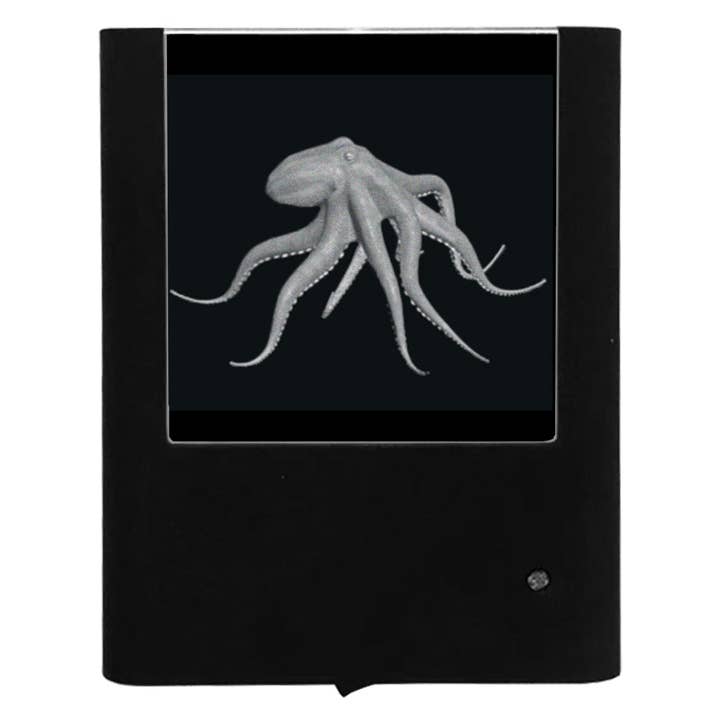 Engraved Octopus for wholesale by Nightlight Studio