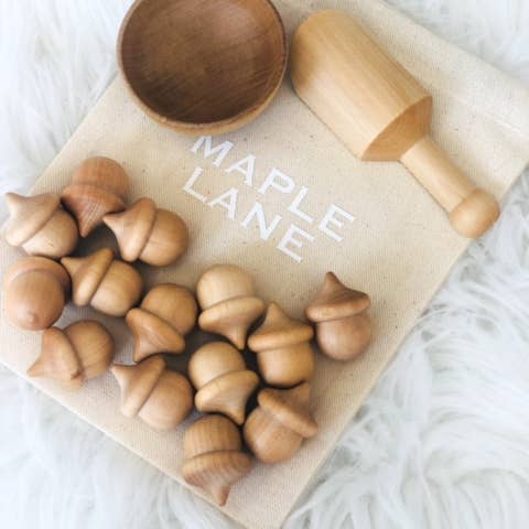Montessori Acorn Set for wholesale by Maple Lane